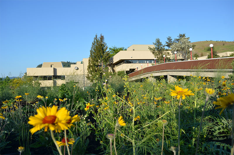 Okanagan College Canada 5